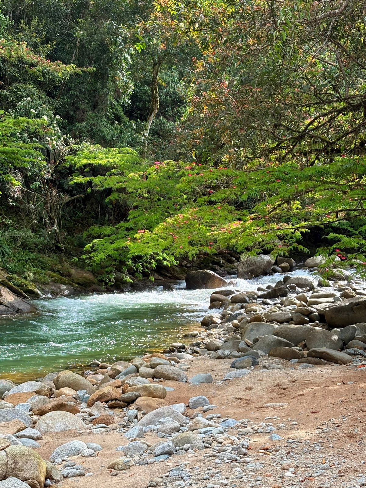 El río entre rocas y vegetación